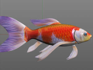 koi fish low poly 3D Model