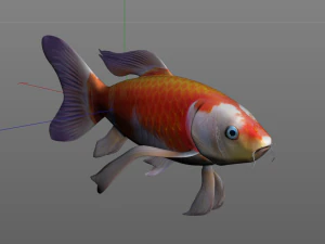 peixe koi baixo poli Modelo 3D