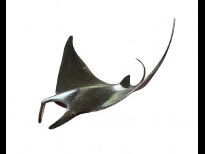 manta ray rigged low poly 3D Model