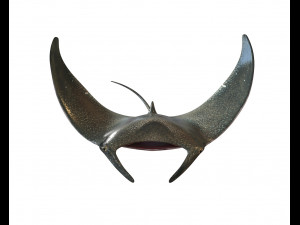 manta ray rigged low poly 3D Model