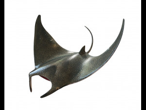 manta ray rigged low poly 3D Model