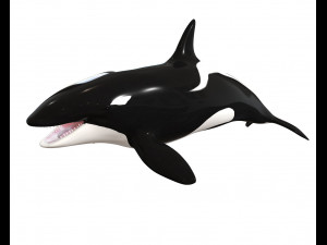 orca killer whale rigged low poly 3D Model