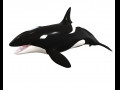 Orca Killer Whale Rigged Low Poly Modello 3D