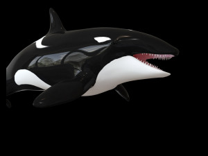 orca killer whale rigged low poly 3D Model