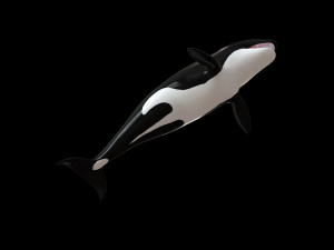 orca killer whale rigged low poly 3D Model