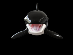 orca killer whale rigged low poly 3D Model