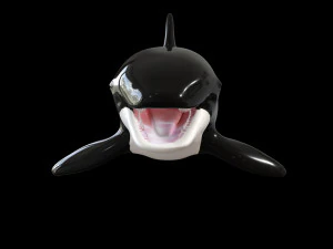 orca killer whale rigged low poly 3D Model