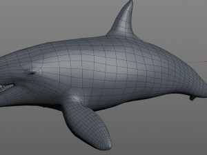 orca killer whale rigged low poly 3D Model
