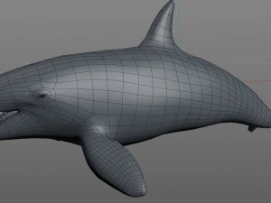 orca killer whale rigged low poly 3D Model