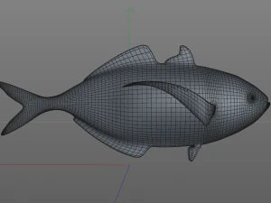 pacific bumper fish low poly 3D Model