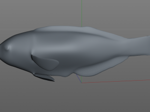 pakoko wrasse fish low poly 3D Модель