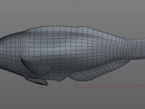 pakoko wrasse v2 fish low poly 3D 모델
