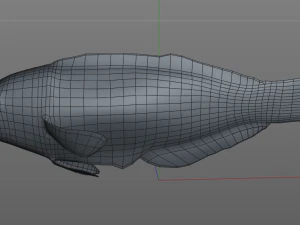 pakoko wrasse v2 fish low poly 3D Model