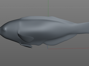 pakoko wrasse v2 fish low poly 3D 모델