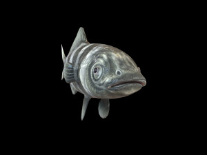 pilot fish low poly 3Dモデル