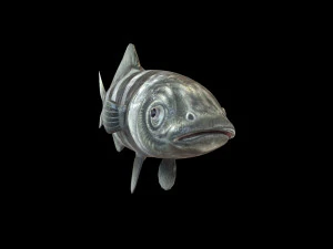 peixe piloto low poly Modelo 3D