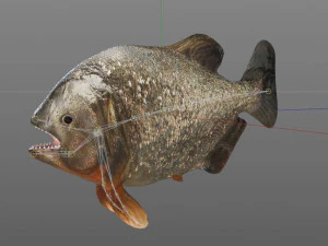 piranha fish low poly 3D Model