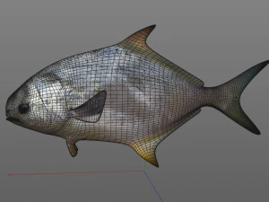 ikan bawal bintang low poly Model 3D