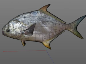 ikan bawal bintang low poly Model 3D