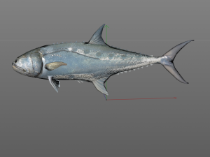 queenfish fish low poly 3Dモデル