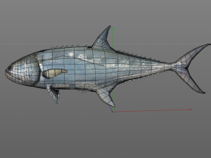 queenfish fish low poly 3Dモデル