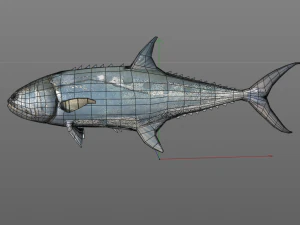 queenfish fish low poly 3D Model