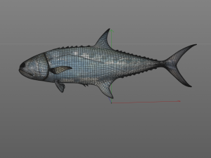queenfish fish low poly 3Dモデル