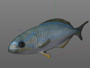 rainbow chub fish low poly Modello 3D