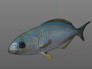 rainbow chub fish low poly 3D Model