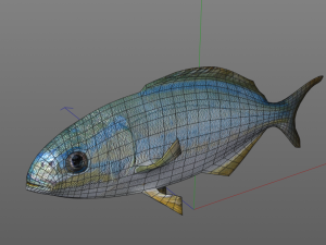 rainbow chub fish low poly Modello 3D