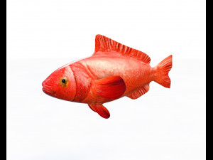 red grouper fish low poly 3D Model