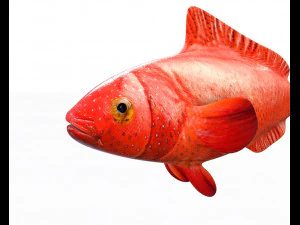 red grouper fish low poly 3D Model