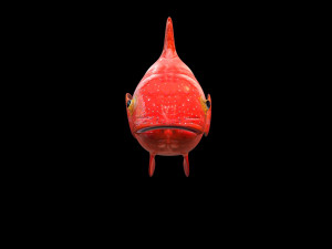 red grouper fish low poly Modelo 3D