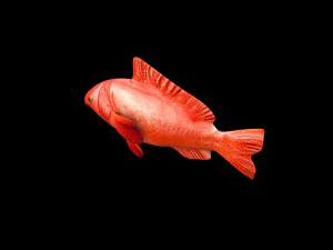 red grouper fish low poly 3D Model