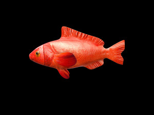 red grouper fish low poly Modelo 3D