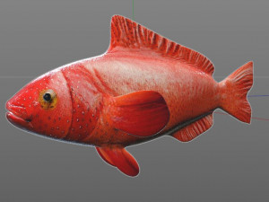 red grouper fish low poly Modelo 3D