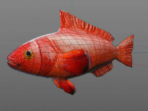 red grouper fish low poly 3D Model