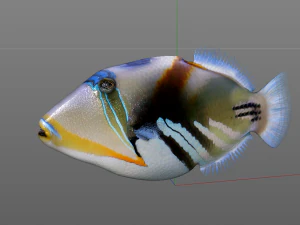 reef trigger fish low poly 3D Model