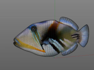 reef trigger fish low poly 3D Model