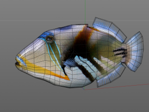 reef trigger fish low poly 3D 模型