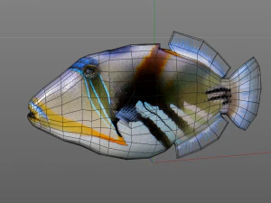 reef trigger fish low poly 3D Model