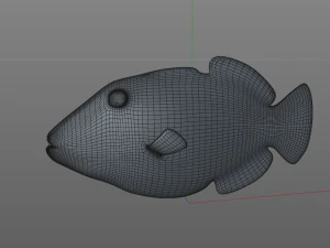 reef trigger fish low poly 3D Model