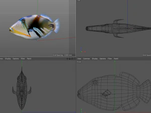 reef trigger fish low poly 3D Model