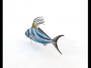 rooster fish low poly 3D Model