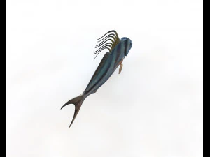 rooster fish low poly 3D Model