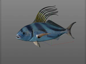 rooster fish low poly 3D Model