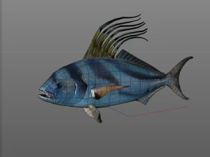 rooster fish low poly 3D Model