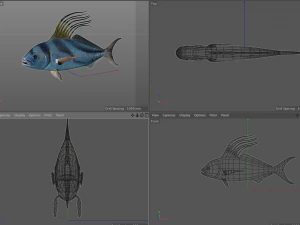 rooster fish low poly 3D Model