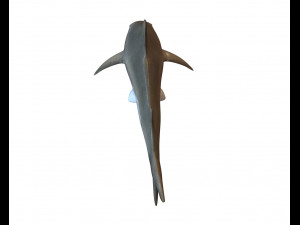 sandbar shark low poly 3D Model