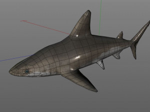 sandbar shark low poly 3D Model